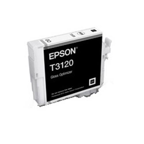 C13T312000.jpg