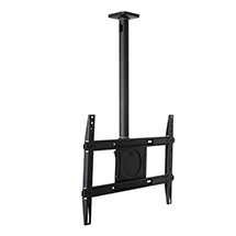 Ceiling Mounts